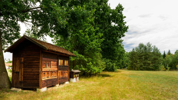 istock Cute vintage wooden apiary with beehives 821868658