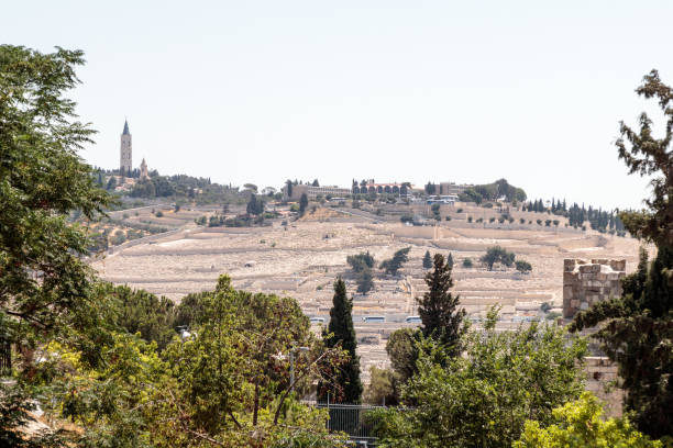 vue sur le cimetière de jérusalem du mont des oliviers de la porte de bouse en la vieille remorque à jérusalem, israël - mount of olives photos et images de collection