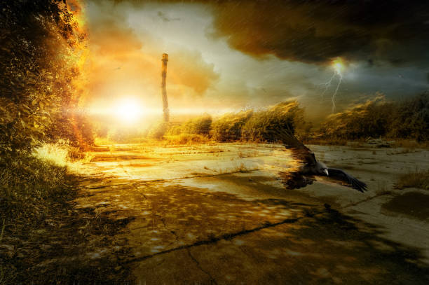 istock The last snapshot 821881254