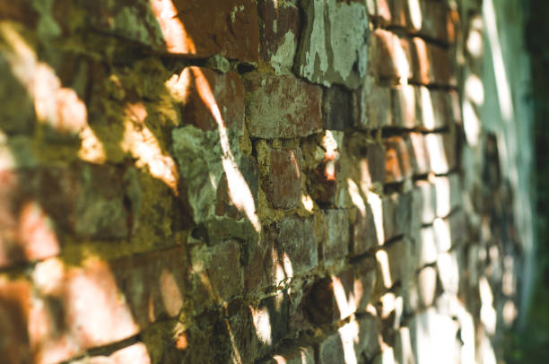Background of old brick wall in sunlight