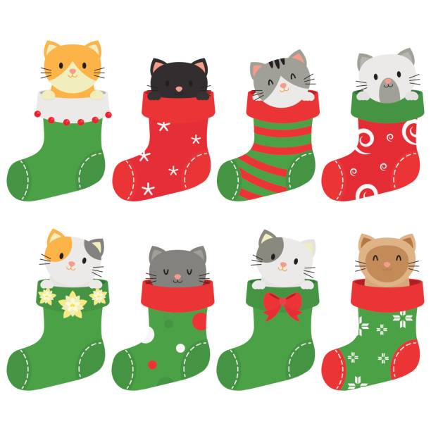 Cats In Christmas Stockings Stock Illustration - Download Image Now -  Domestic Cat, Christmas, Christmas Stocking - iStock