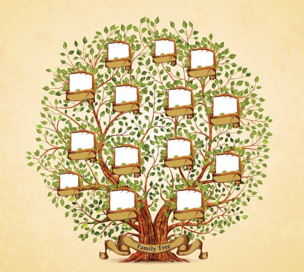 ilustraciones, imágenes clip art, dibujos animados e iconos de stock de árbol de la familia plantilla de ilustración de vectores vintage - árboles genealógicos