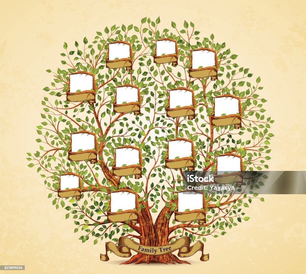 Family Tree template vintage vector illustration Family Tree stock vector