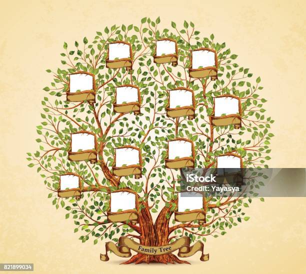 Family Tree Template Vintage Vector Illustration Stock Illustration - Download Image Now - Family Tree, Tree, Family