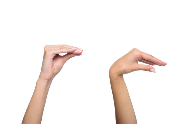 istock cropped view of person gesturing signed language, isolated on white 821899456