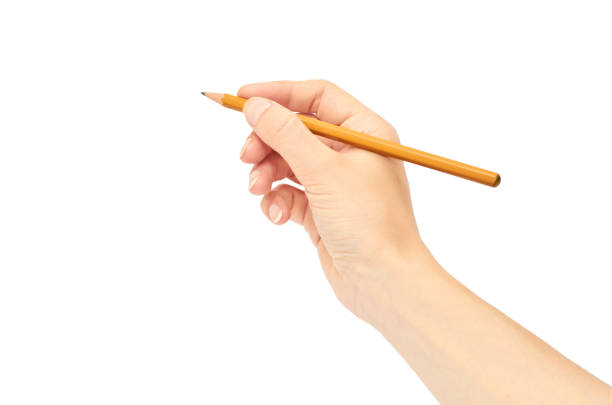 istock Female hands hold a pencil. Isolated on white background 821900280