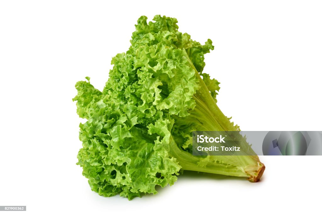 fresh green and raw Lettuce isolated on white background Agriculture Stock Photo