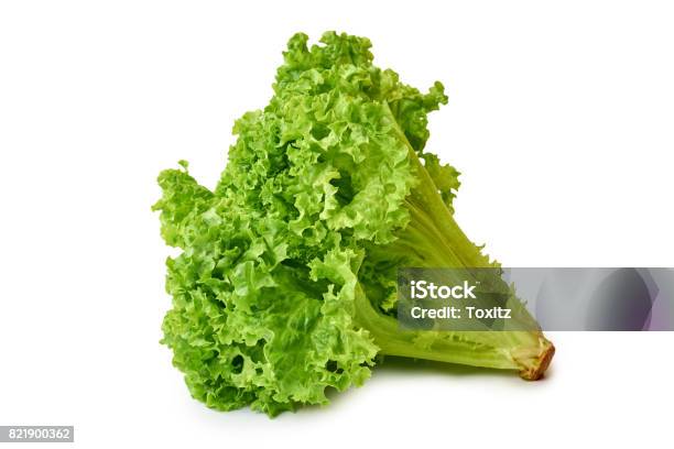 Fresh Green And Raw Lettuce Isolated On White Background Stock Photo - Download Image Now