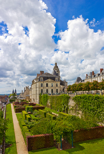 View of Blois City Hall and Blois Cathedral, France across rose garden