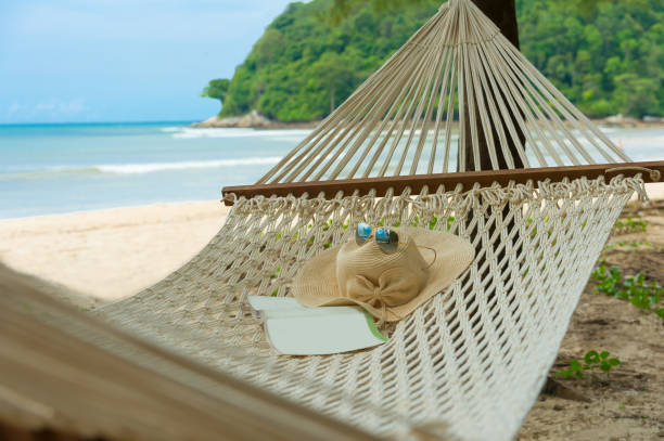 hamak na plaży - romance tropical climate ideas travel destinations zdjęcia i obrazy z banku zdjęć