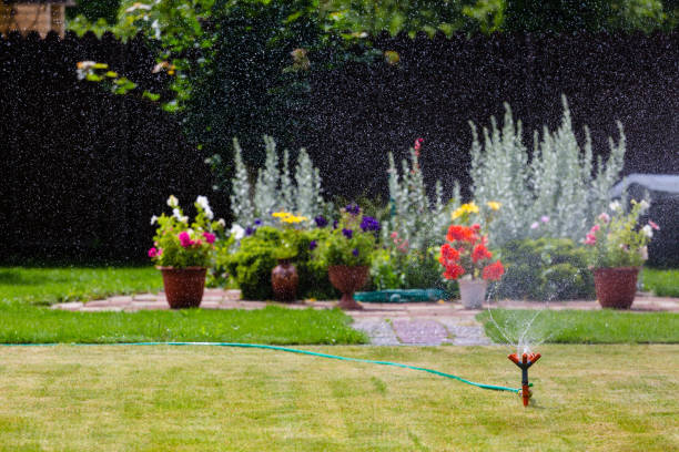 istock Garden sprinkler watering grass and flowers 821911224