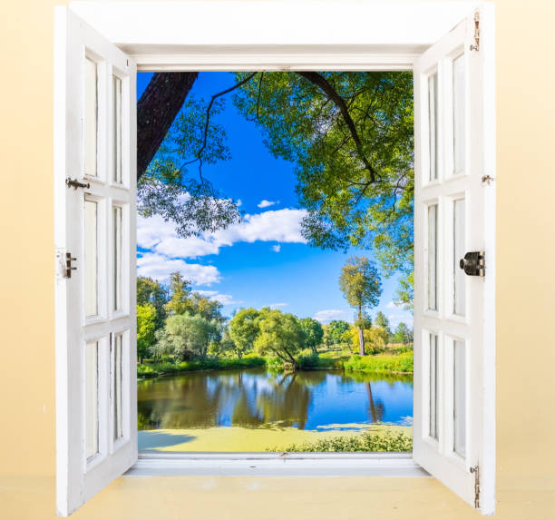 istock views of the pond 821911280