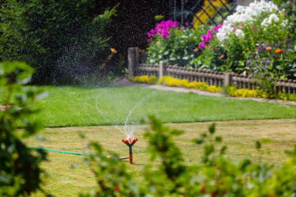 istock Garden sprinkler watering grass and flowers 821912052