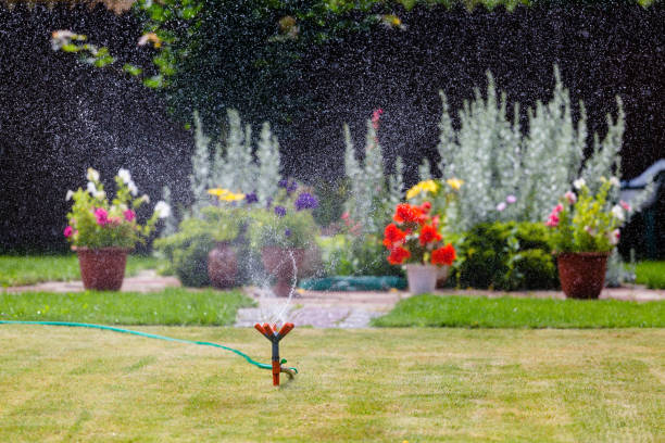 istock Garden sprinkler watering grass and flowers 821918218