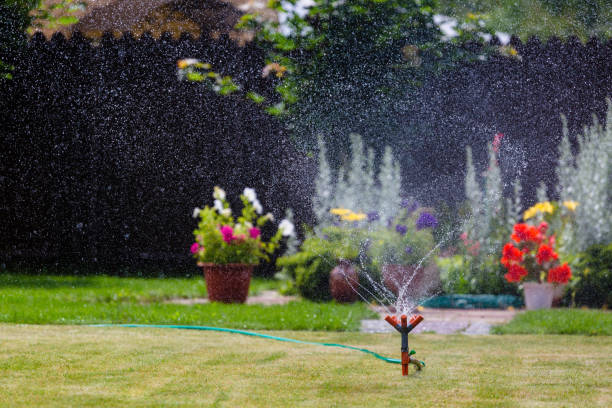 istock Garden sprinkler watering grass and flowers 821918548