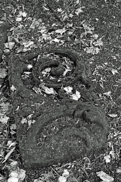 Stone victorian carving A stone Victorian carving in Jesmond Dene. jesmond stock pictures, royalty-free photos & images