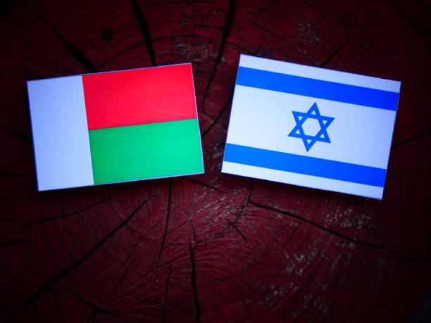 istock Madagascar flag with Israeli flag on a tree stump isolated 821919644
