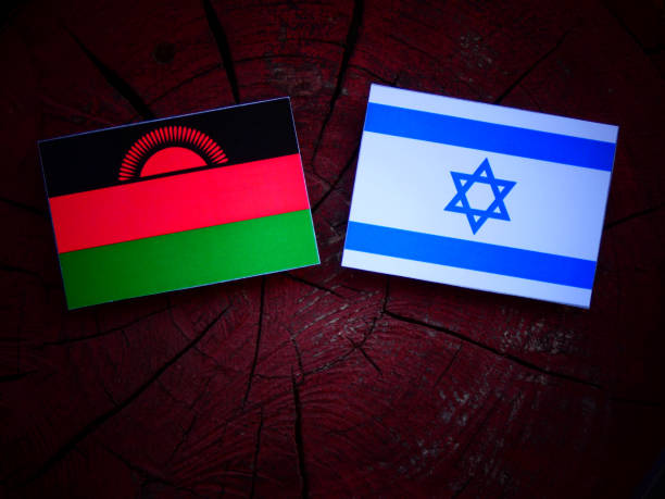 istock Malawi flag with Israeli flag on a tree stump isolated 821923824