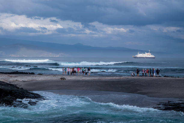 prata galápagos selvagem - fernandina beach - fotografias e filmes do acervo