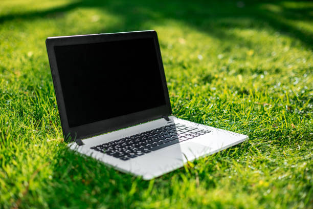 istock Laptop with blank screen on green lawn 821928338