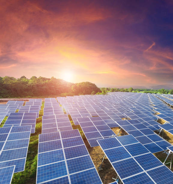 Solar panels with sunset  sky (Solar farm) stock photo