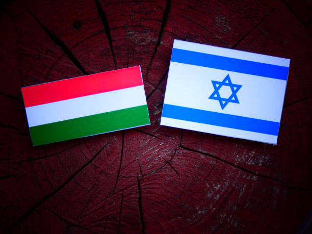istock Hungarian flag with Israeli flag on a tree stump isolated 821930666