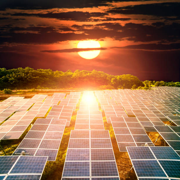 Solar panels with sunset  sky (Solar farm) stock photo