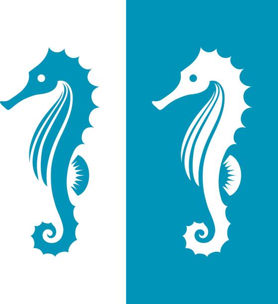 ilustraciones, imágenes clip art, dibujos animados e iconos de stock de silueta de caballito de mar en colores azul y blanco. - sea horse