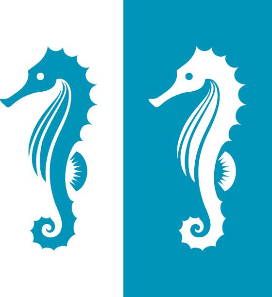 illustrazioni stock, clip art, cartoni animati e icone di tendenza di silhouette seahorse nei colori blu e bianco. - cavalluccio marino