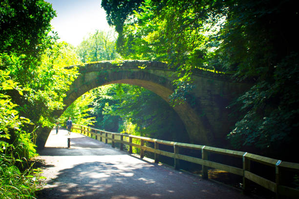 Jesmond Dene The luxuriant foliage in Jesmond Dene with a fenced off road and a father and small child walking hand in hand through dappled sunlight. jesmond stock pictures, royalty-free photos & images