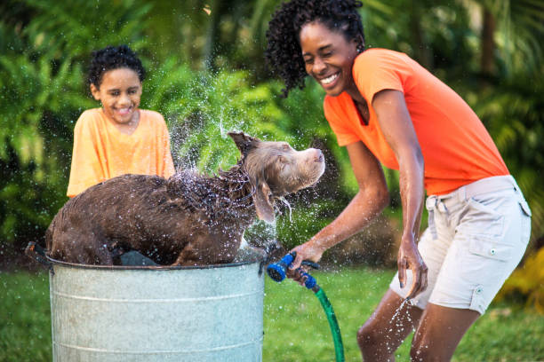 istock Mother and son bathing dog 821934732
