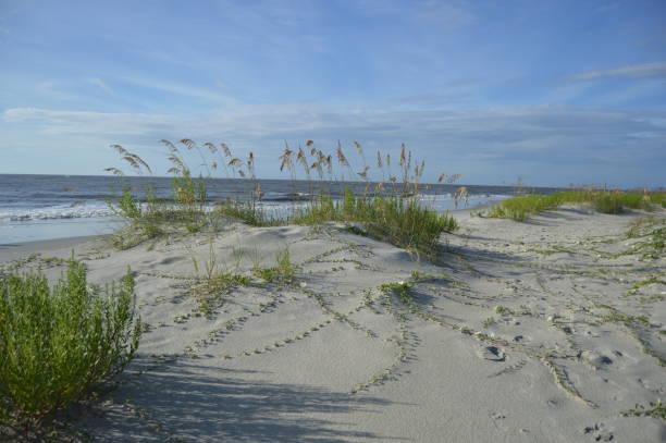 playa de st. simons island, ga al amanecer - dorothy fotografías e imágenes de stock