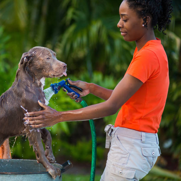 Woman bathing her dog