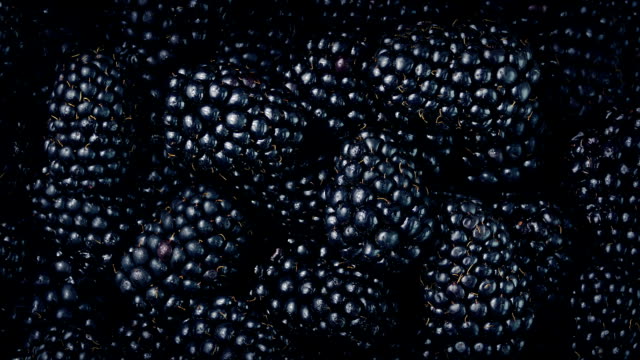 Blackberries Closeup