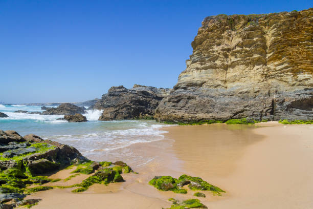 istock Beach and cliffs in Porto Covo 821947000