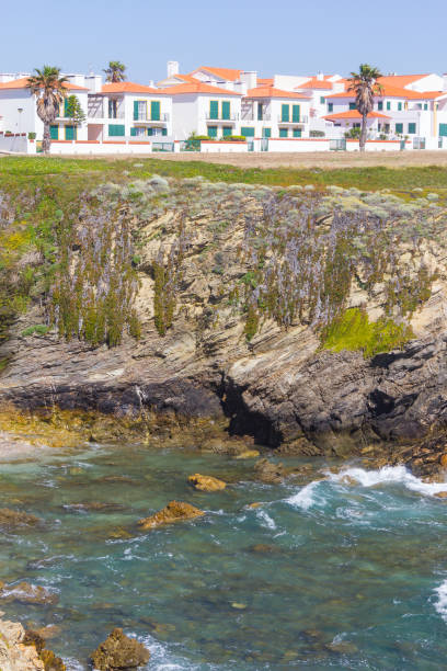 istock Beach, cliffs and houses in Porto Covo 821952076