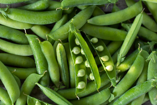 istock young juicy green peas 821955672