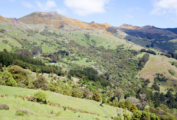 istock New Zealand's Countryside 821961702