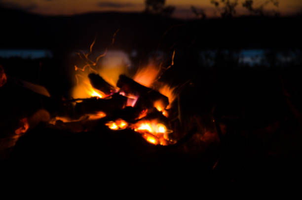 istock Bonfire on the shore of the lake 821972936