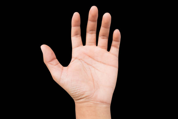 istock left hand a man are show extended to borrow some things from others. empty full hand up. isolated on black background 821978808