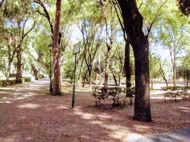 istock park in the city 821981640