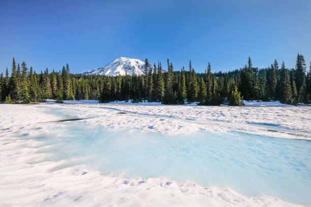 istock Mount Rainier from a snow-covered Reflection Lake 821986266