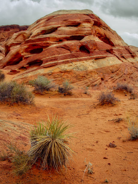 istock The unique red sandstone rock formations 821987816