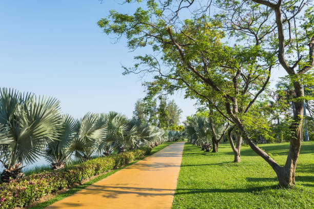 istock Green garden with jogging track at the park 822005146