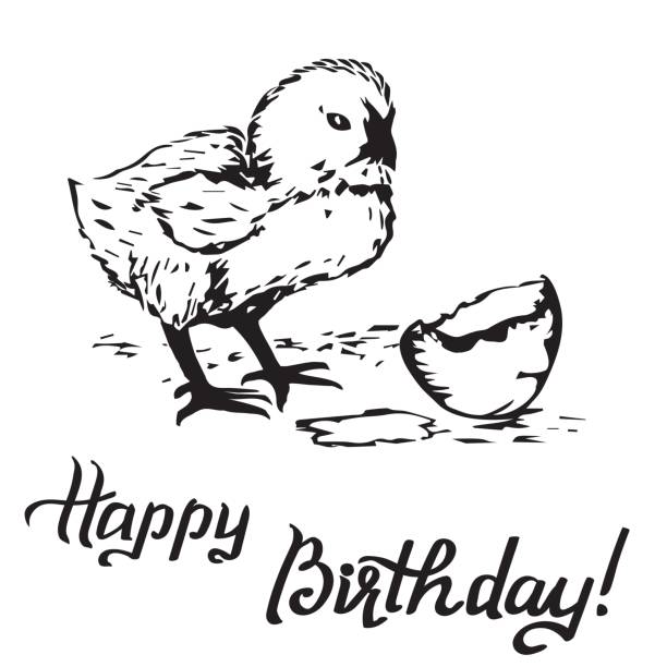 ilustraciones, imágenes clip art, dibujos animados e iconos de stock de feliz tarjeta de regalo de cumpleaños, chica leerlo de huevos. - chicken young bird animal egg baby chicken