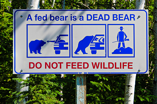 A fed bear is a dead bear, do not feed wildlife sign.