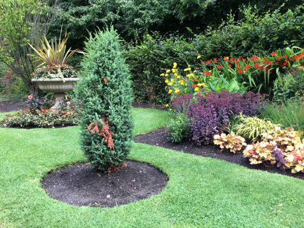 istock Pretty landscaped gardens 822026998
