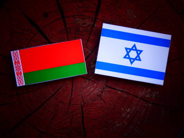 istock Belarus flag with Israeli flag on a tree stump isolated 822033436