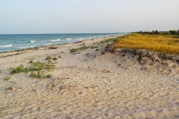 istock Sandy beach and dunes of the Black Sea 822039342