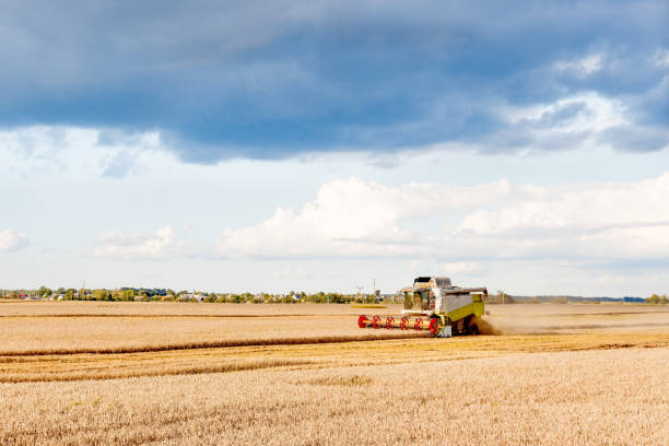 istock Harvester is woking during harvest time in the farmers fields 822039636